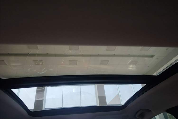 Used Hongqi H9 2020 2.0T Smart Connect Flagship Edition Headliner