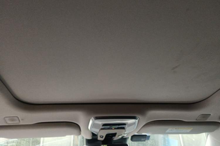 Used Hongqi H9 2020 2.0T Smart Connect Flagship Edition Headliner