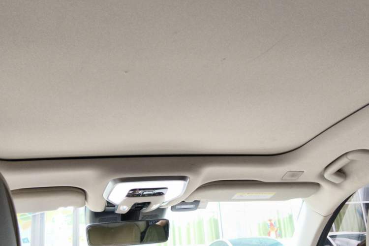 Used Hongqi H9 2020 2.0T Smart Connect Flagship Edition Headliner