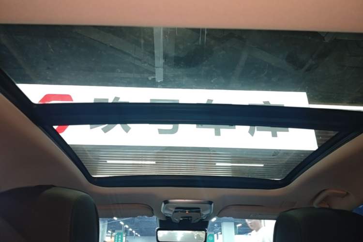 Used Hongqi H9 2020 Revised Version 2.0T Smart Connect Flagship Edition Headliner