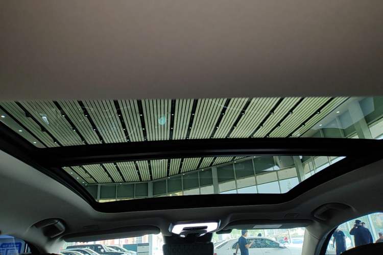 Used Hongqi H9 2020 2.0T Smart Connect Flagship Edition Headliner