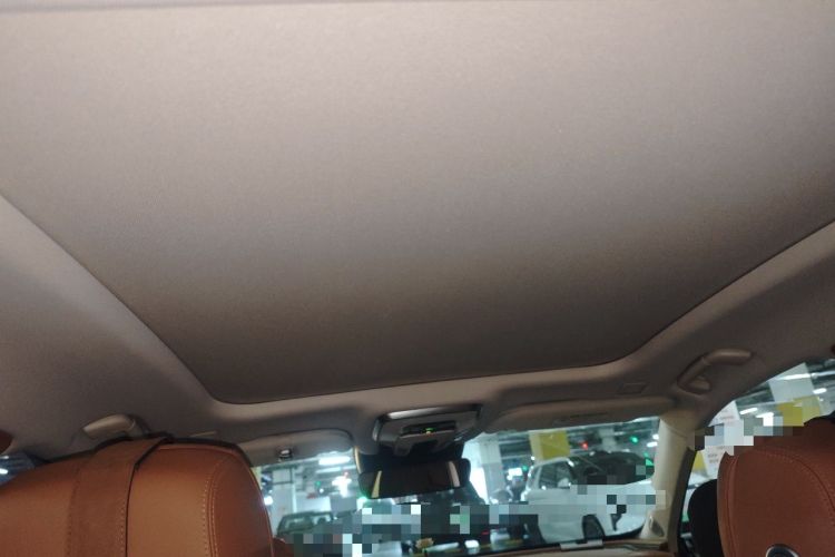 Used Hongqi H9 2020 2.0T Smart Connect Flagship Edition Headliner