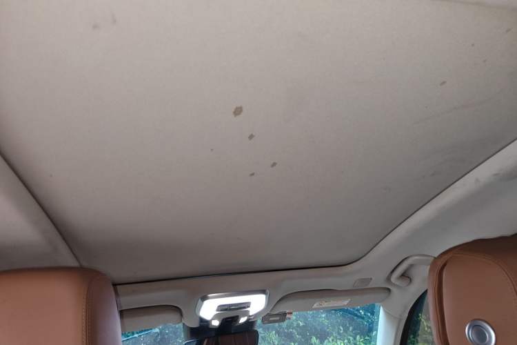 Used Hongqi H9 2020 2.0T Smart Connect Flagship Edition Headliner