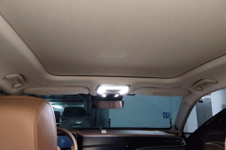 Used Hongqi H9 2020 2.0T Smart Connect Flagship Edition Headliner