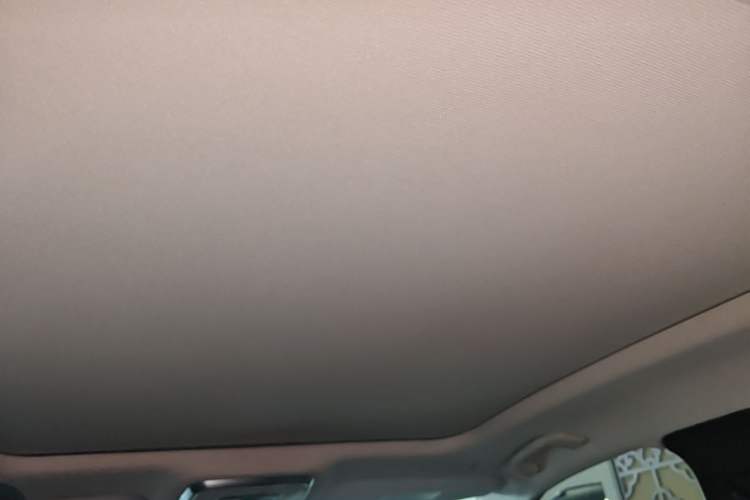 Used Hongqi H9 2020 2.0T Smart Connect Flagship Edition Headliner