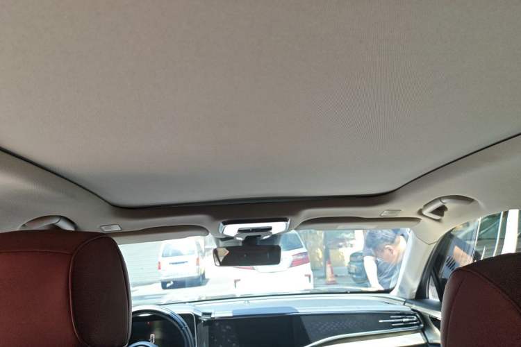 Used Hongqi H9 2020 3.0T Smart Connect Flagship Edition Headliner