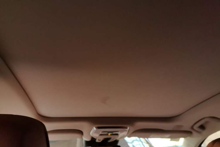 Used Hongqi H9 2020 2.0T Smart Connect Flagship Edition Headliner