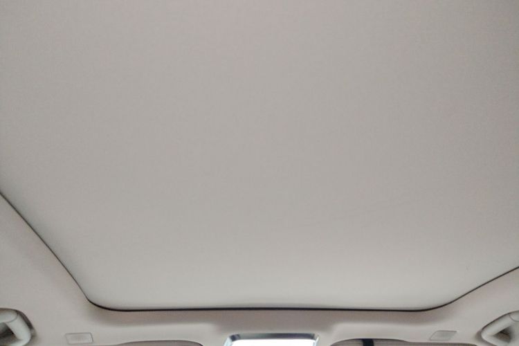 Used Hongqi H9 2020 2.0T Smart Connect Flagship Edition Headliner