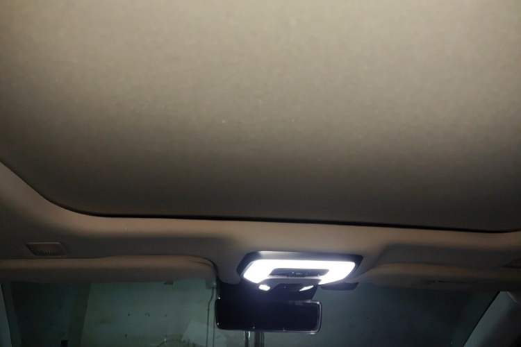 Used Hongqi H9 2020 2.0T Smart Connect Flagship Edition Headliner