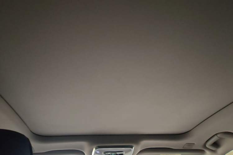 Used Hongqi H9 2020 2.0T Smart Connect Flagship Edition Headliner