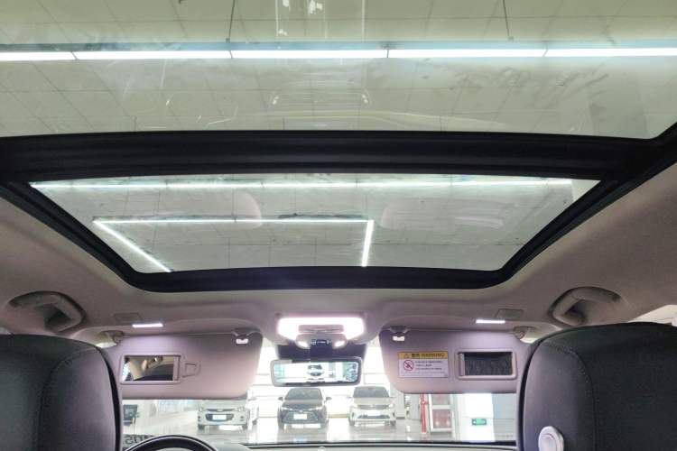 Used Hongqi H9 2020 2.0T Smart Connect Flagship Edition Headliner