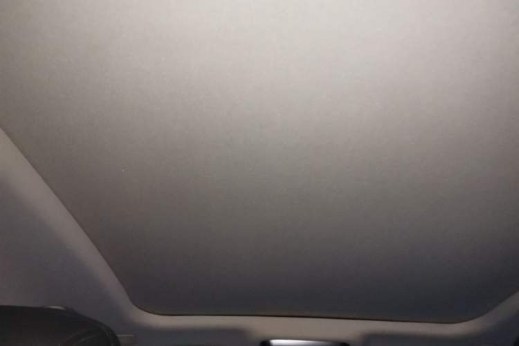 Used Hongqi H9 2020 2.0T Smart Connect Flagship Edition Headliner