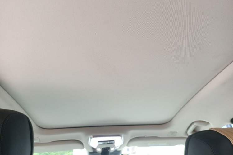 Used Hongqi H9 2020 3.0T Smart Connect Flagship Edition Headliner
