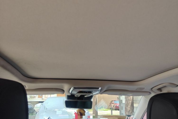 Used Hongqi H9 2020 2.0T Smart Connect Flagship Edition Headliner