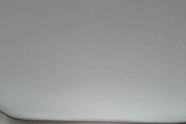 Used Hongqi H9 2020 2.0T Smart Connect Flagship Edition Headliner