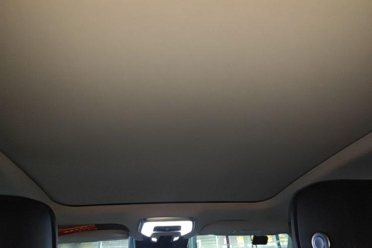 Used Hongqi H9 2020 2.0T Smart Connect Flagship Edition Headliner