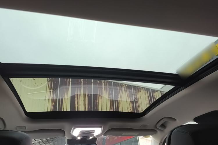 Used Hongqi H9 2020 3.0T Smart Connect Flagship Edition Headliner