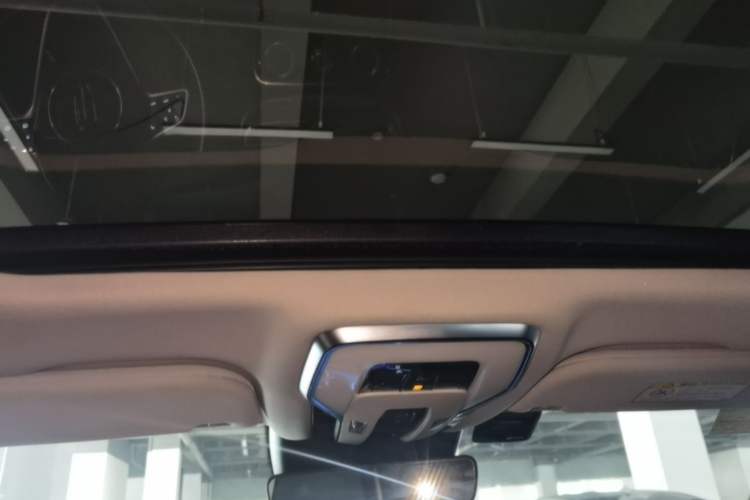 Used Hongqi H9 2020 2.0T Smart Connect Flagship Edition Headliner