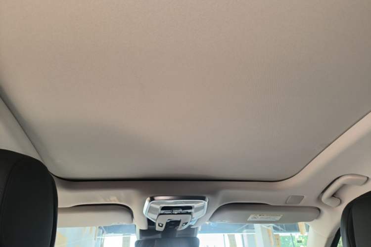 Used Hongqi H9 2020 2.0T Smart Connect Flagship Edition Headliner