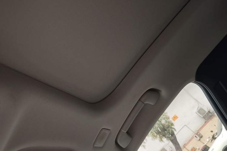 Used Hongqi H9 2020 2.0T Smart Connect Flagship Edition Headliner