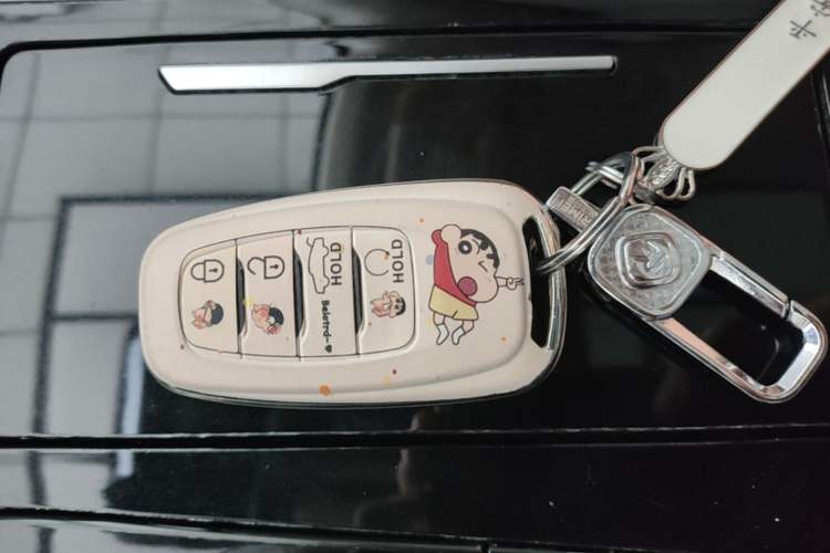 Used Hongqi H9 2020 2.0T Smart Connect Flagship Edition Interior 1