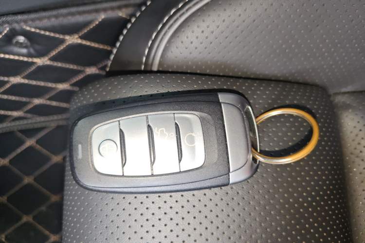 Used Hongqi H9 2020 3.0T Smart Connect Flagship Edition Interior 1