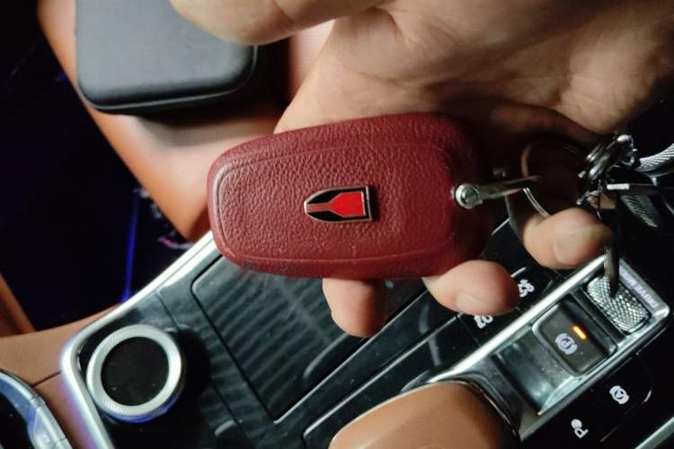 Used Hongqi H9 2020 2.0T Smart Connect Flagship Edition Interior 1