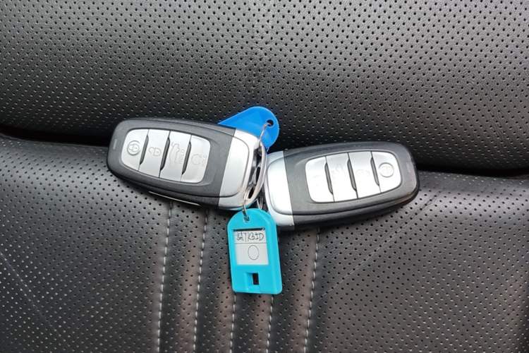 Used Hongqi H9 2020 2.0T Smart Connect Flagship Edition Interior 1