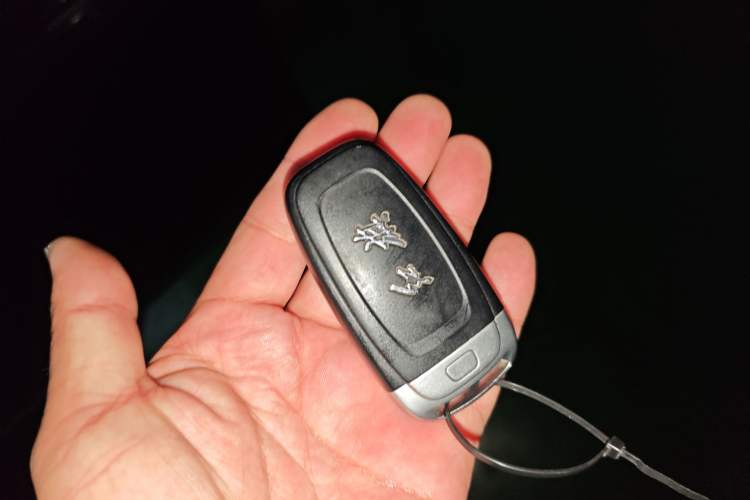 Used Hongqi H9 2020 2.0T Smart Connect Flagship Edition Interior 1