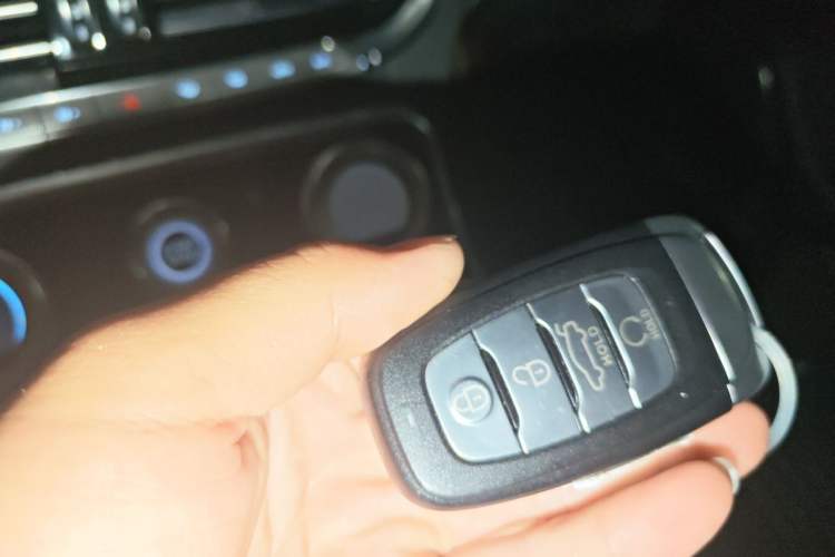 Used Hongqi H9 2020 3.0T Smart Connect Flagship Four-Seat Version Interior 1