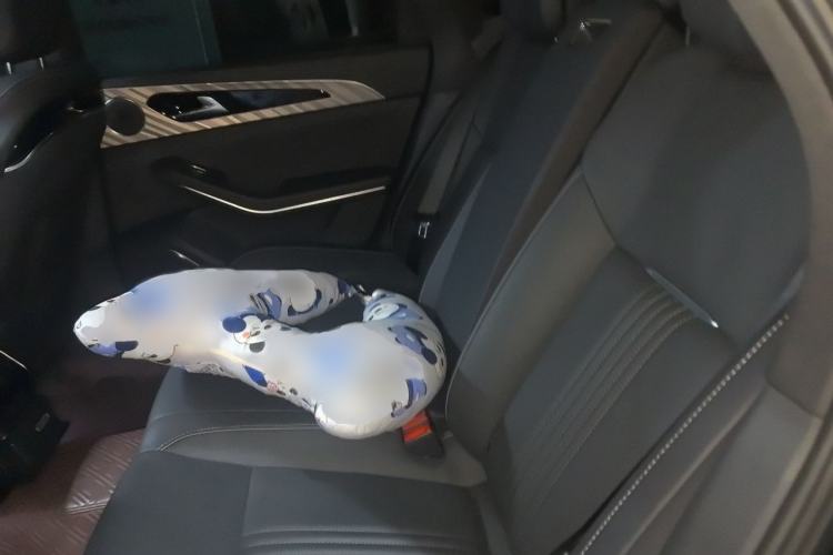 Used Hongqi H9 2020 2.0T Smart Connect Flagship Edition Interior 4