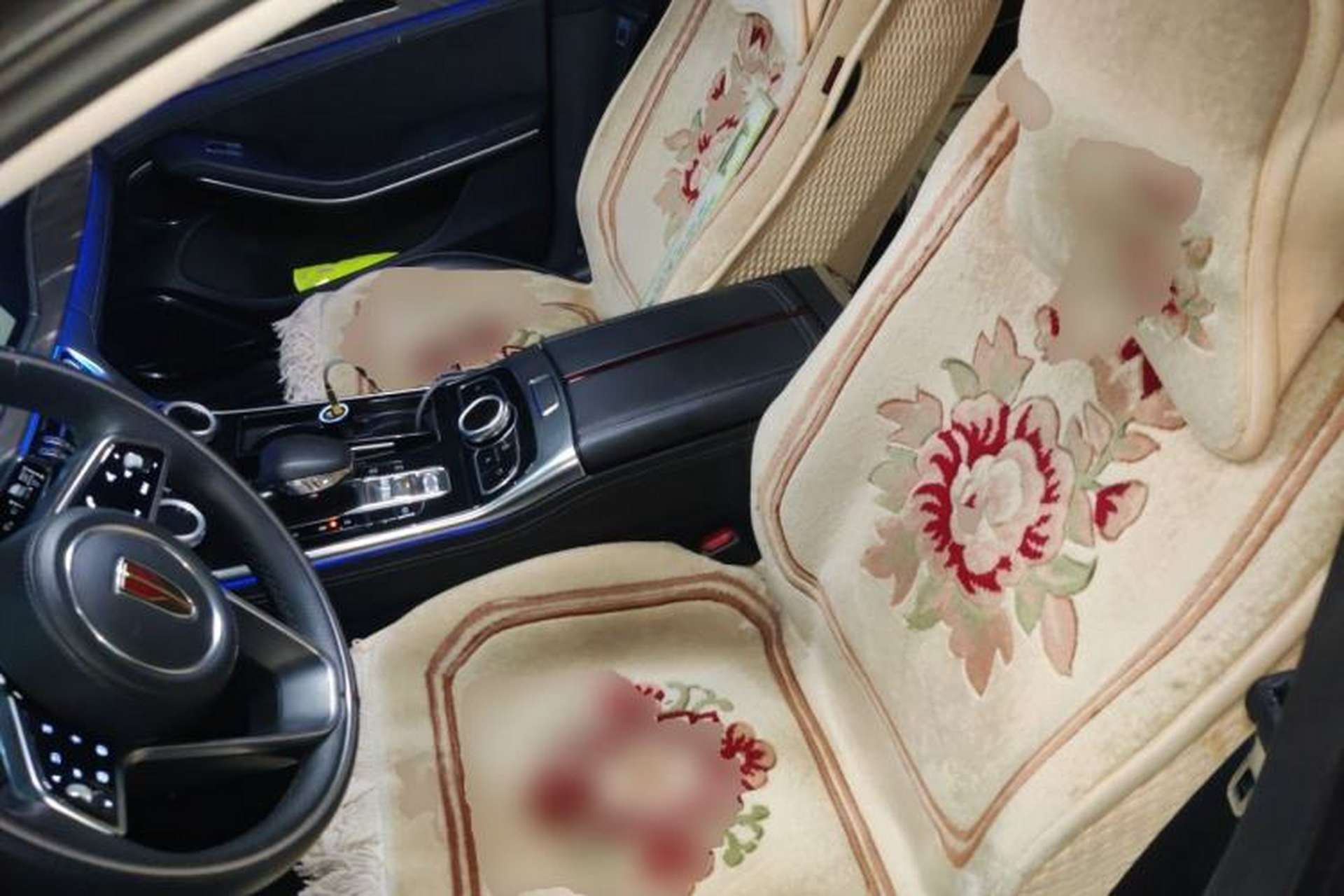 Used Hongqi H9 2020 2.0T Smart Connect Flagship Edition Left Front Seat