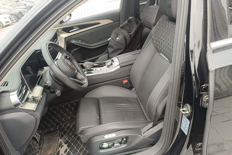 Used Hongqi H9 2020 3.0T Smart Connect Flagship Edition Left Front Seat