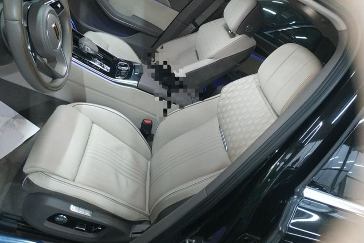Used Hongqi H9 2020 3.0T Smart Connect Flagship Edition Left Front Seat