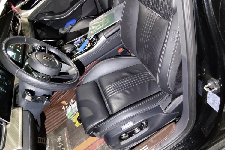 Used Hongqi H9 2020 2.0T Smart Connect Flagship Edition Left Front Seat