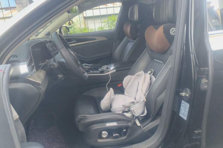 Used Hongqi H9 2020 2.0T Smart Connect Flagship Edition Left Front Seat