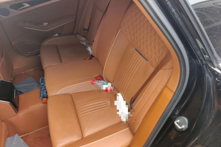 Used Hongqi H9 2020 2.0T Smart Connect Flagship Edition Left Rear Seat