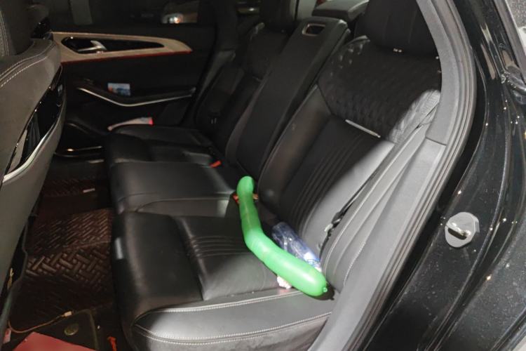 Used Hongqi H9 2020 3.0T Smart Connect Flagship Edition Left Rear Seat