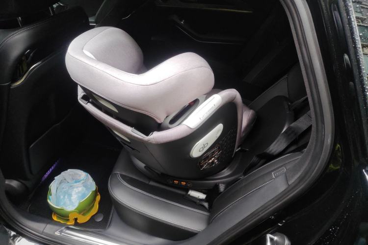 Used Hongqi H9 2020 2.0T Smart Connect Flagship Edition Left Rear Seat