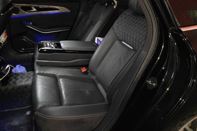 Used Hongqi H9 2020 2.0T Smart Connect Flagship Edition Left Rear Seat