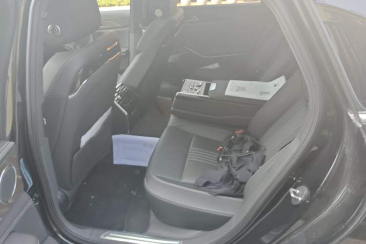 Used Hongqi H9 2020 2.0T Smart Connect Flagship Edition Left Rear Seat