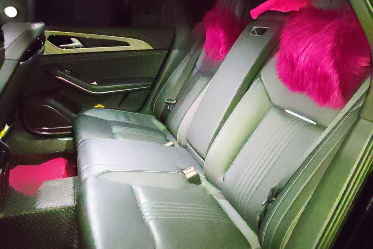 Used Hongqi H9 2020 2.0T Smart Connect Flagship Edition Left Rear Seat