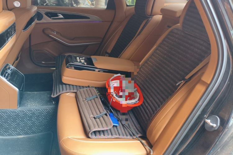 Used Hongqi H9 2020 2.0T Smart Connect Flagship Edition Left Rear Seat