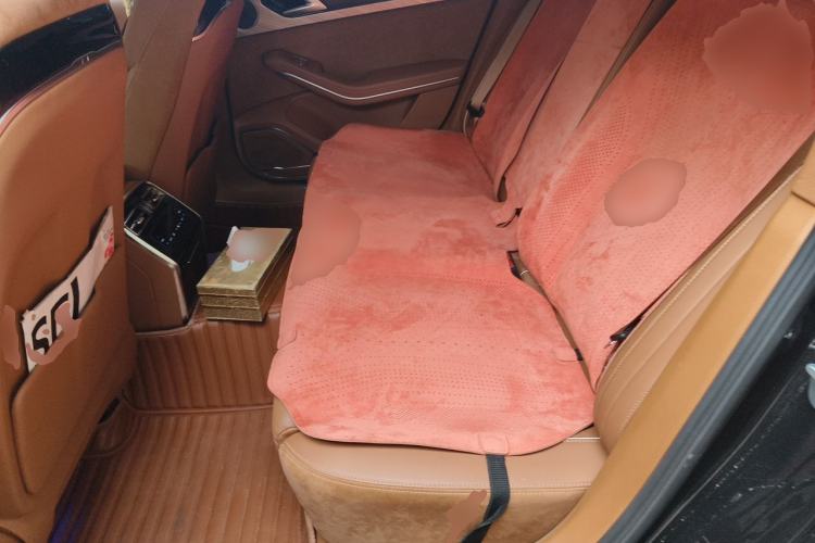 Used Hongqi H9 2020 2.0T Smart Connect Flagship Edition Left Rear Seat
