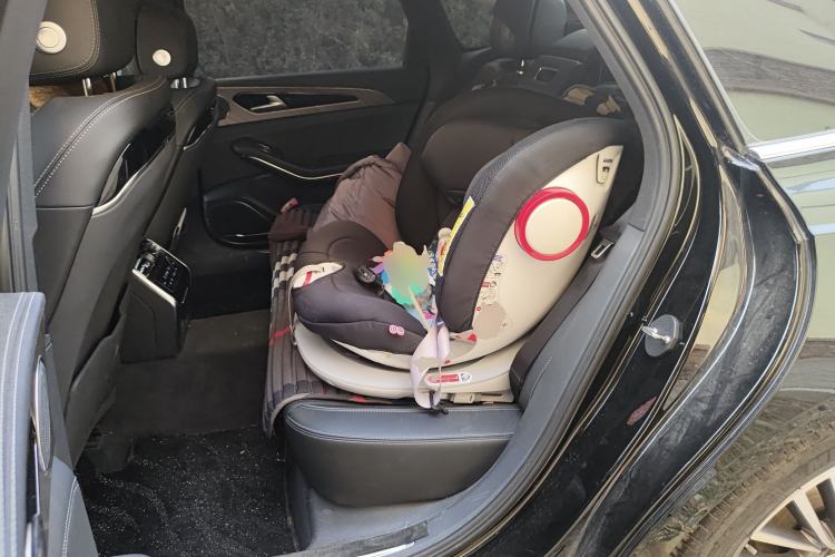 Used Hongqi H9 2020 2.0T Smart Connect Flagship Edition Left Rear Seat