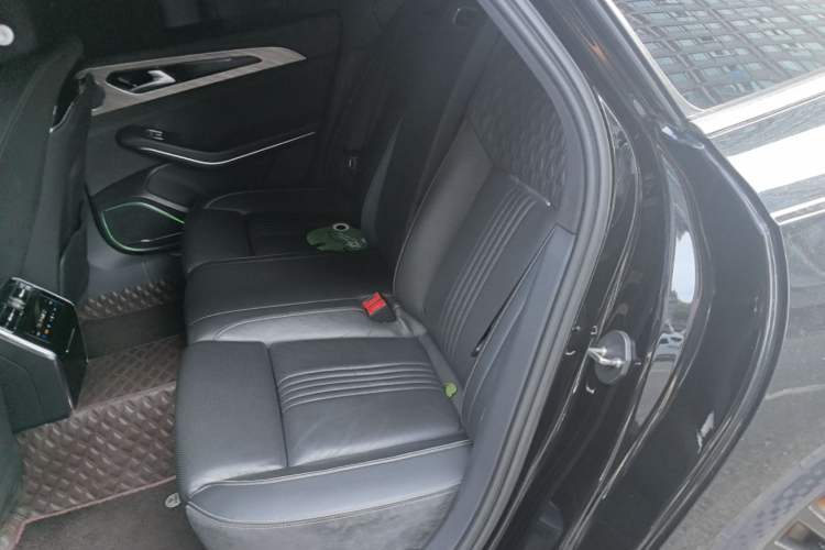 Used Hongqi H9 2020 2.0T Smart Connect Flagship Edition Left Rear Seat