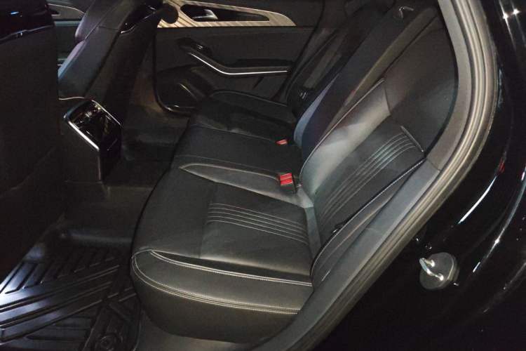 Used Hongqi H9 2020 2.0T Smart Connect Flagship Edition Left Rear Seat