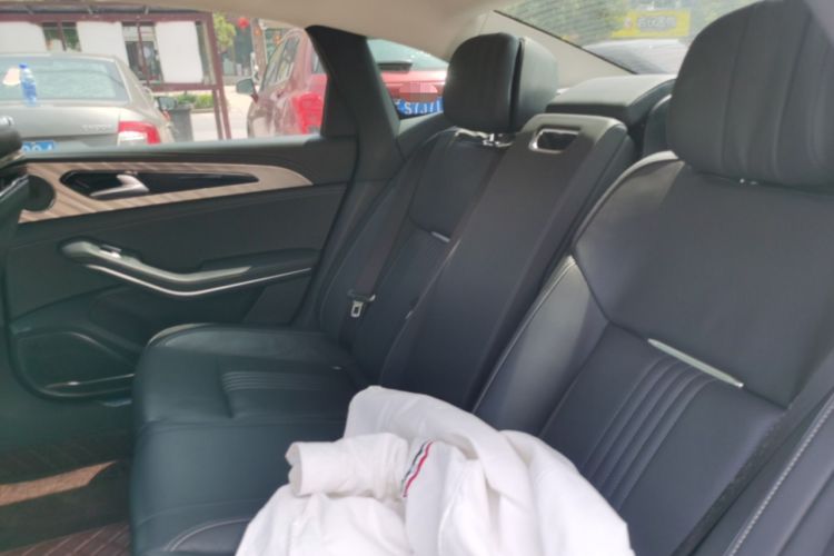 Used Hongqi H9 2020 2.0T Smart Connect Flagship Edition Left Rear Seat