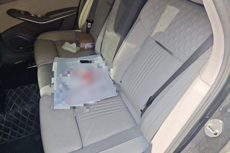 Used Hongqi H9 2020 2.0T Smart Connect Flagship Edition Left Rear Seat
