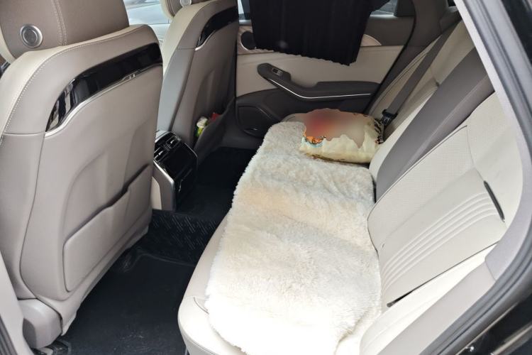 Used Hongqi H9 2020 2.0T Smart Connect Flagship Edition Left Rear Seat